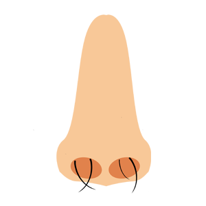 鼻毛